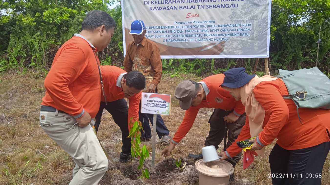 Stafsus Menteri LHK Kelik dan BPDASHL Kahayan Menanam Pohon Bersama Masyarakat