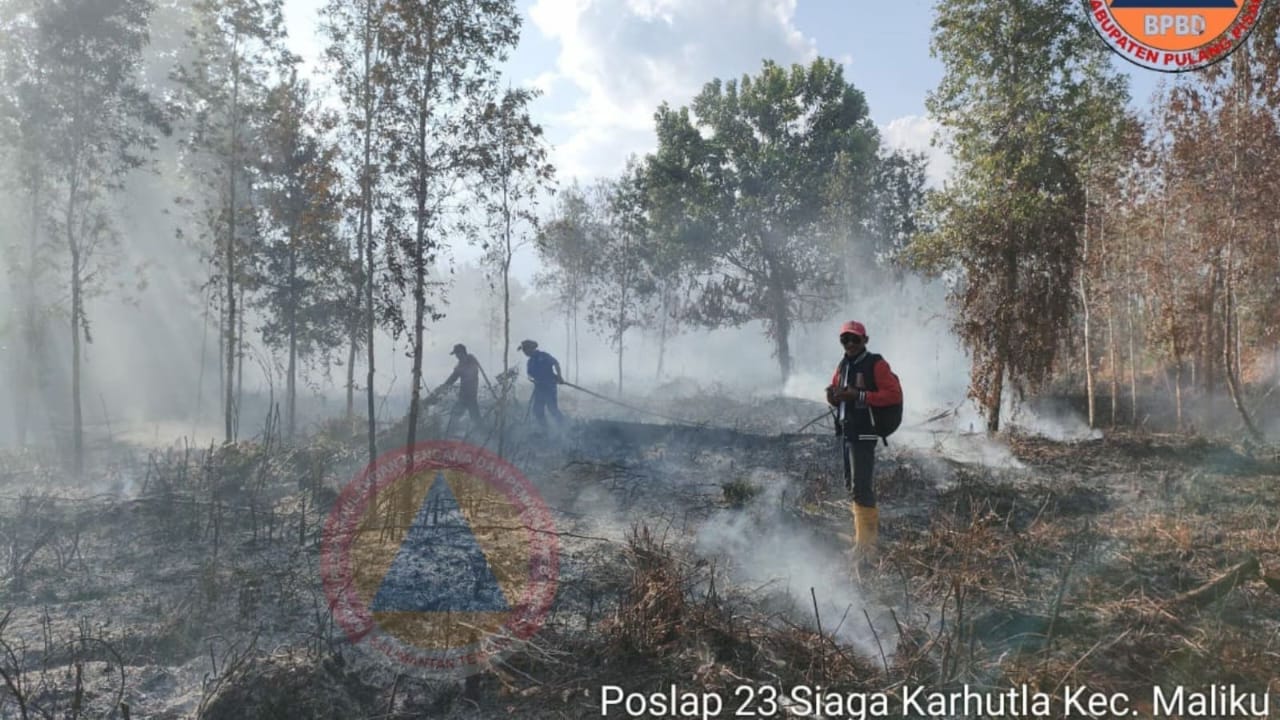 409 Titik Hotspot: Karhutla di Kalimantan Tengah Meningkat Tajam