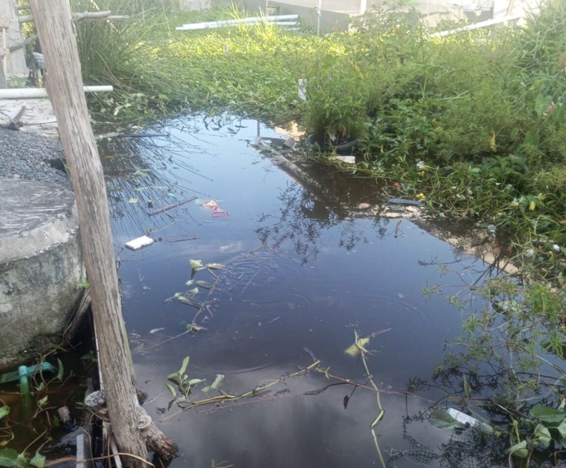 Balita Tenggelam di Galian Parit Belakang Rumah, Nyawa Tak Tertolong
