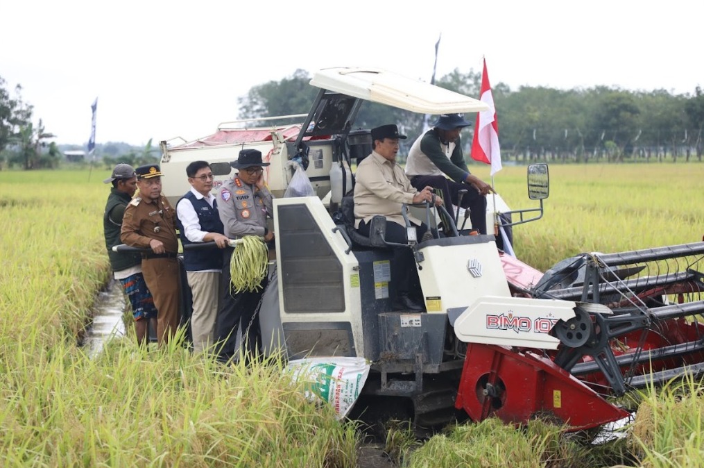 Panen Raya Demplot Tahai Jaya Perkuat Ambisi Kalteng Jadi Lumbung Pangan Nasional