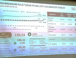 NTP Kalteng Naik 1,88 Persen pada Agustus 2026