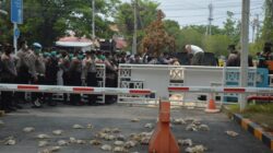 Ribuan Ayam Mati, Peternak Palangka Raya Bawa Dampak Pemadaman Listrik ke Kantor PLN
